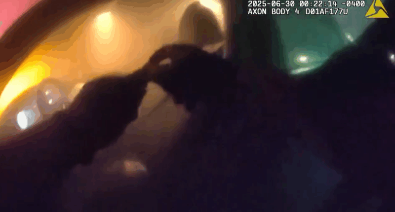 WATCH: Sarasota police rescue unconscious driver moments before car goes up in flames