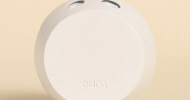 White Pura smart home fragrance diffuser.