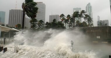 Warning as 23m Americans face tropical trouble brewing off US coast