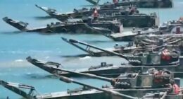 Military amphibious vehicles in the water.