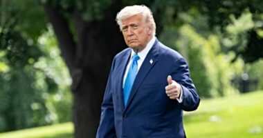 Weekend Victories: Trump Scores Major Wins on Trade and Advancement of Peace