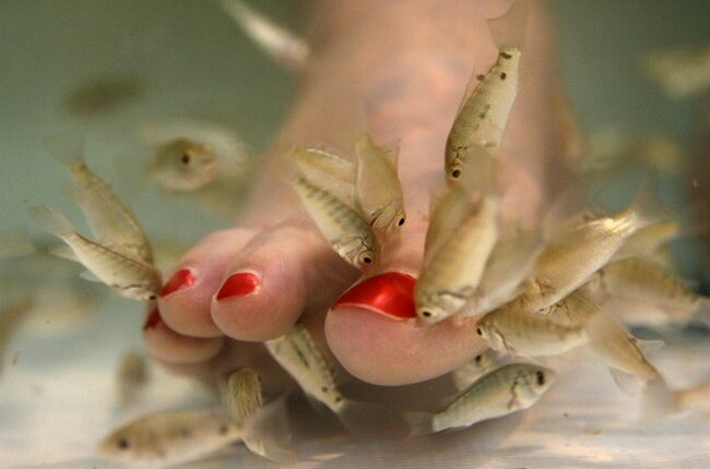 Weird News: This Sets a Whole New Meaning of 'Toeing the Line'