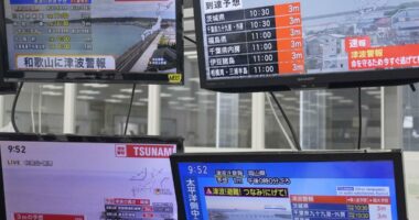 What are the tsunami alert levels? What do you do if you get a tsunami alert?