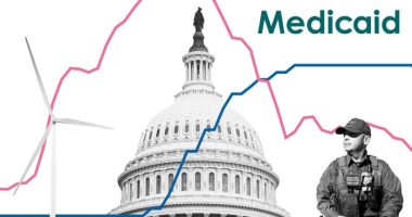 Montage of line chart, White House, border patrol staff, wind turbine and Medicaid logo