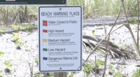 What to know: beach safety after third Lowcountry drowning this week