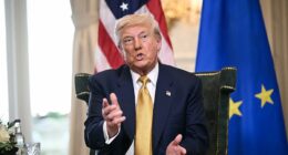 White House in 'full-bore panic mode' over Epstein files