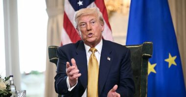 White House in 'full-bore panic mode' over Epstein files