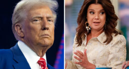 White House slams 'The View's Ana Navarro for criticizing Alligator Alcatraz: She "can't get any dumber"