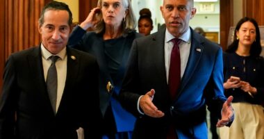Why the left from normal Dems to Antifa have lost their collective minds