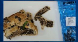 Wife Learns Her Fate After Poisoning In-Laws and Sister with Deadly Mushroom Beef Wellington