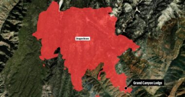 Wildfire along Grand Canyon's North Rim destroys historic lodge and is spreading rapidly
