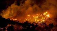 More than 200 firefighters are struggling to tackle an out-of-control wildfire on Crete â€” Greece's largest island and a tourist hotspot â€” as authorities order mass evacuations.