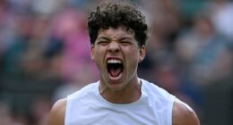 Wimbledon's US power couple take aim at British icons