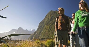 For many Americans, New Zealand looks like a dream getaway from the tumult of a second Trump administration