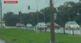 A South Australian woman is in custody after being filmed travelling on the wrong side of the road while allegedly drink driving and with a toddler in the back seat.