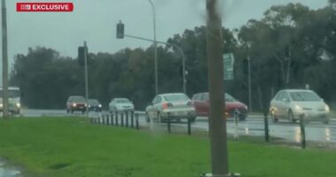 A South Australian woman is in custody after being filmed travelling on the wrong side of the road while allegedly drink driving and with a toddler in the back seat.