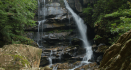Woman dies after falling at least 75 feet while hiking in North Carolina