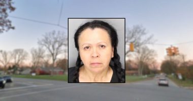 Woman killed boy, 3, in hit-and-run at fireworks show: Cops