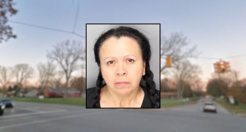 Woman killed boy, 3, in hit-and-run at fireworks show: Cops