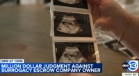 Woman stole funds intended for surrogate mothers: Lawsuit