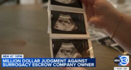 Woman stole funds intended for surrogate mothers: Lawsuit