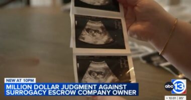 Woman stole funds intended for surrogate mothers: Lawsuit