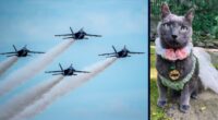 Woman sues Blue Angles over First Amendment violation