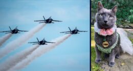 Woman sues Blue Angles over First Amendment violation