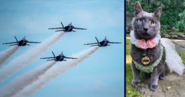 Woman sues Blue Angles over First Amendment violation