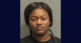 Woman used bug foggers to evict family from apartment: Cops