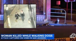 Woman walking dogs with boyfriend shot by 21-year-old: Cops