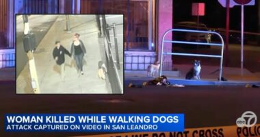 Woman walking dogs with boyfriend shot by 21-year-old: Cops
