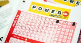 Close-up of Powerball lottery tickets with Quick Pick selections.
