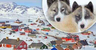 World's oldest domesticated dog breed has cohabited with humans for 1,000 years, new study shows â but their population is plummeting