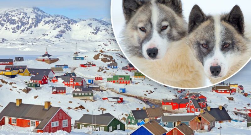 World's oldest domesticated dog breed has cohabited with humans for 1,000 years, new study shows â but their population is plummeting