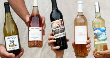 You've Earned a Break (And 10 Bottles of Wine)