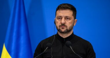 Zelenskyy forced to rethink anti-corruption law after public backlash
