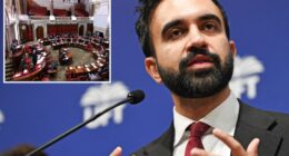 Zohran Mamdani’s campaign persona called into question by vote to give himself raise: critics
