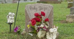 'Baby Hope' and her parents identified 31 years later: Police