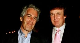 'May every day be another wonderful secret': Trump denies Epstein birthday message