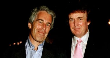 'May every day be another wonderful secret': Trump denies Epstein birthday message