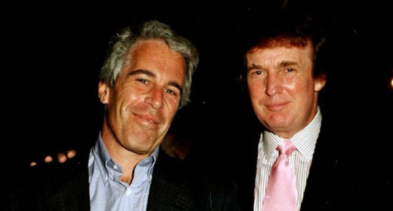'May every day be another wonderful secret': Trump denies Epstein birthday message