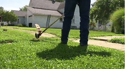 14-year-old helps his community by mowing lawns for free