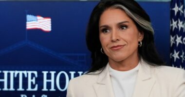 5 takeaways from Tulsi Gabbard’s White House press briefing