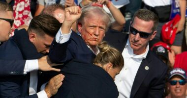 6 federal agents suspended after Trump assassination attempt