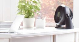 Amazon drops price of 'powerhouse' fan to less than £25 in time for UK heatwave