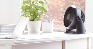Amazon drops price of 'powerhouse' fan to less than £25 in time for UK heatwave