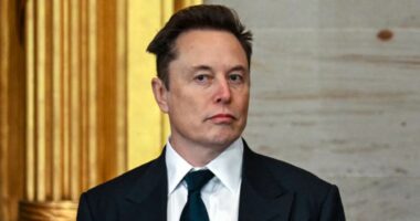 Another blow for Elon as his $40b obsession collapses