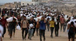 Arab nations turn on Hamas as they call on terror group to disband and surrender control of Gaza