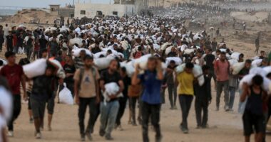 Arab nations turn on Hamas as they call on terror group to disband and surrender control of Gaza